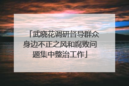 武晓花调研督导群众身边不正之风和腐败问题集中整治工作