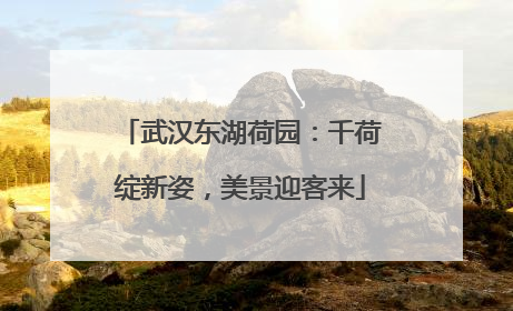 武汉东湖荷园：千荷绽新姿，美景迎客来