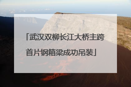 武汉双柳长江大桥主跨首片钢箱梁成功吊装
