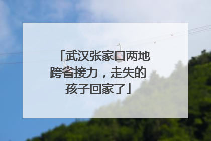 武汉张家口两地跨省接力，走失的孩子回家了