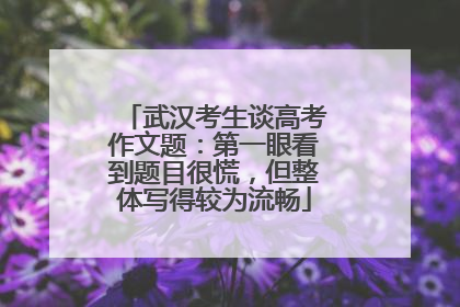 武汉考生谈高考作文题：第一眼看到题目很慌，但整体写得较为流畅