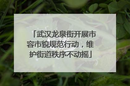 武汉龙泉街开展市容市貌规范行动，维护街道秩序不动摇