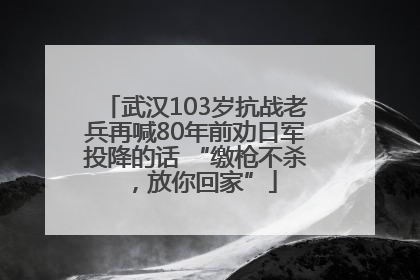 武汉103岁抗战老兵再喊80年前劝日军投降的话 “缴枪不杀，放你回家”
