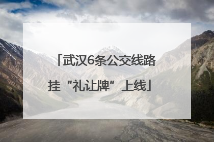 武汉6条公交线路挂“礼让牌”上线