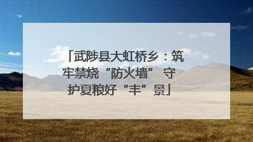武陟县大虹桥乡：筑牢禁烧“防火墙” 守护夏粮好“丰”景