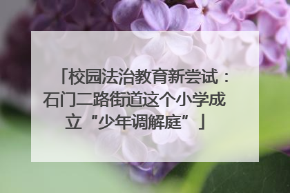 校园法治教育新尝试：石门二路街道这个小学成立“少年调解庭”