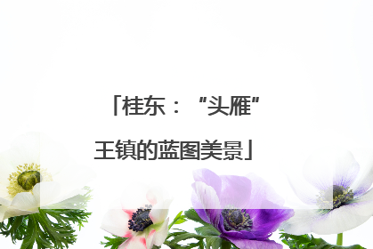 桂东：“头雁”王镇的蓝图美景