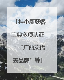 桂小厨获餐宝典多项认证：“广西菜代表品牌”等