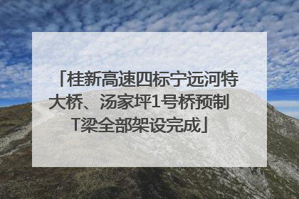 桂新高速四标宁远河特大桥、汤家坪1号桥预制T梁全部架设完成