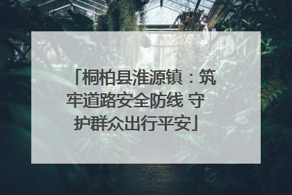 桐柏县淮源镇：筑牢道路安全防线 守护群众出行平安