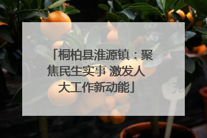 桐柏县淮源镇：聚焦民生实事 激发人大工作新动能