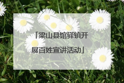 梁山县馆驿镇开展百姓宣讲活动