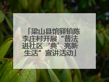 梁山县馆驿镇陈李庄村开展“普法进社区‘典’亮新生活”宣讲活动