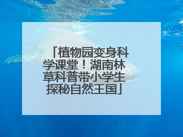 植物园变身科学课堂！湖南林草科普带小学生探秘自然王国
