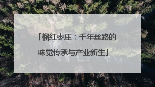 榴红枣庄：千年丝路的味觉传承与产业新生