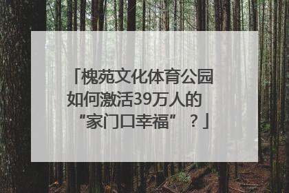 槐苑文化体育公园如何激活39万人的“家门口幸福”？