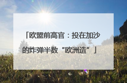 欧盟前高官：投在加沙的炸弹半数“欧洲造”
