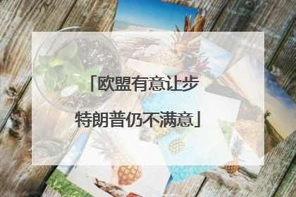 欧盟有意让步 特朗普仍不满意