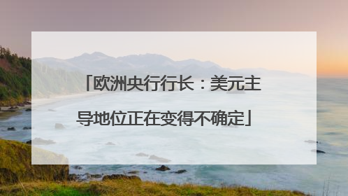 欧洲央行行长：美元主导地位正在变得不确定