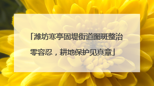 潍坊寒亭固堤街道图斑整治零容忍，耕地保护见真章