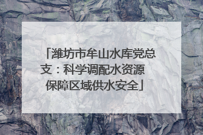 潍坊市牟山水库党总支：科学调配水资源 保障区域供水安全