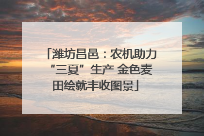 潍坊昌邑：农机助力“三夏”生产 金色麦田绘就丰收图景