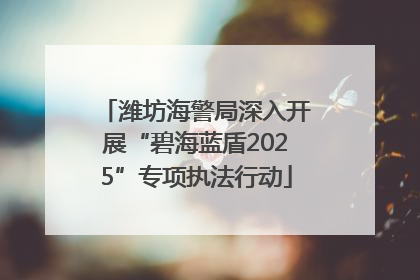 潍坊海警局深入开展“碧海蓝盾2025”专项执法行动
