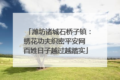潍坊诸城石桥子镇：绣花功夫织密平安网 百姓日子越过越踏实