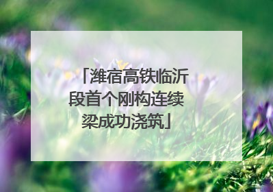 潍宿高铁临沂段首个刚构连续梁成功浇筑