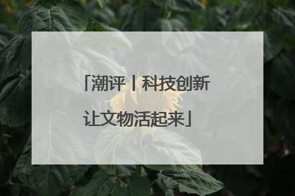 潮评丨科技创新让文物活起来