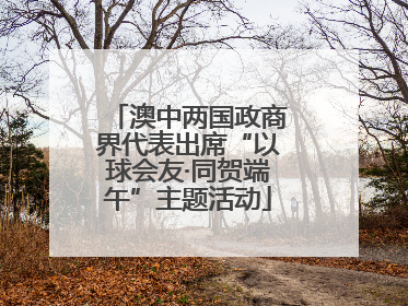 澳中两国政商界代表出席“以球会友·同贺端午”主题活动