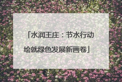 水润王庄：节水行动绘就绿色发展新画卷