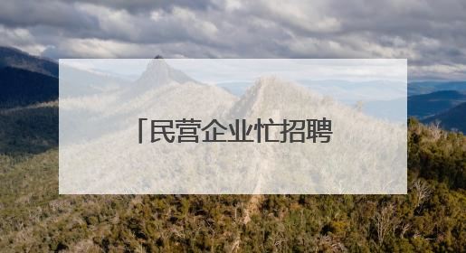 民营企业忙招聘，高技能人才很吃香——河北省个体私营企业网络招聘大会扫描