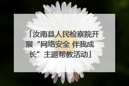 汝南县人民检察院开展“网络安全 伴我成长”主题帮教活动