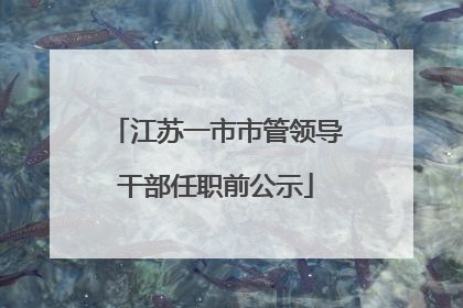 江苏一市市管领导干部任职前公示