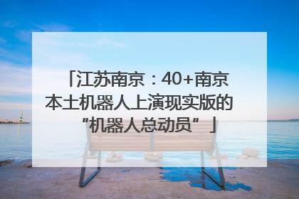 江苏南京：40+南京本土机器人上演现实版的“机器人总动员”