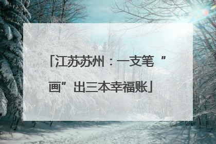 江苏苏州：一支笔“画”出三本幸福账