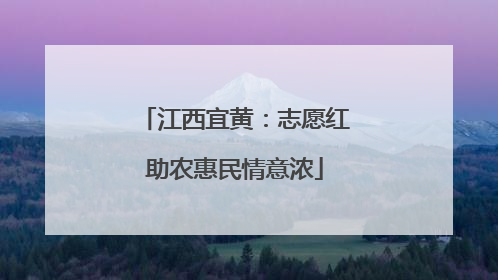江西宜黄：志愿红助农惠民情意浓