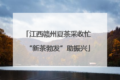 江西赣州夏茶采收忙 “新茶勃发”助振兴