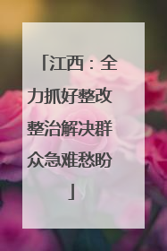 江西：全力抓好整改整治解决群众急难愁盼