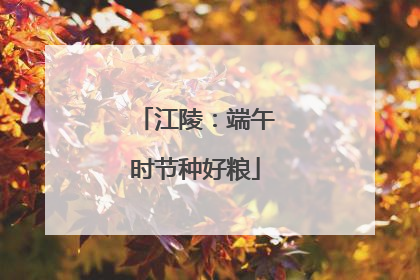 江陵：端午时节种好粮