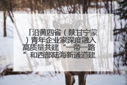 沿黄四省（陕甘宁蒙）青年企业家深度融入高质量共建“一带一路”和西部陆海新通道建设战略合作交流会在甘肃兰州召开