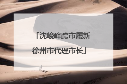 沈峻峰跨市履新徐州市代理市长