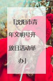 沈阳市青年文明号开放日活动举办
