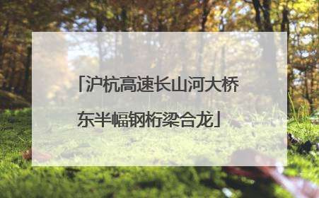 沪杭高速长山河大桥东半幅钢桁梁合龙