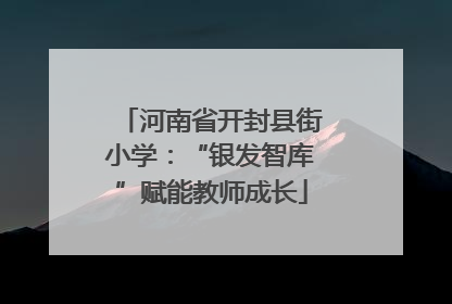 河南省开封县街小学：“银发智库”赋能教师成长
