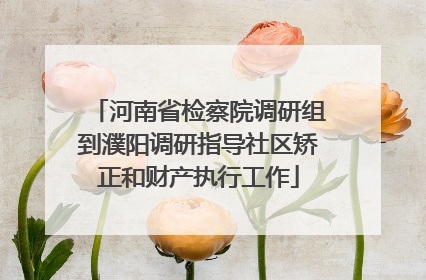 河南省检察院调研组到濮阳调研指导社区矫正和财产执行工作
