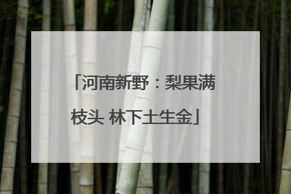 河南新野：梨果满枝头 林下土生金
