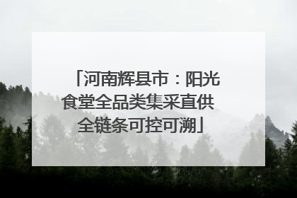 河南辉县市：阳光食堂全品类集采直供 全链条可控可溯