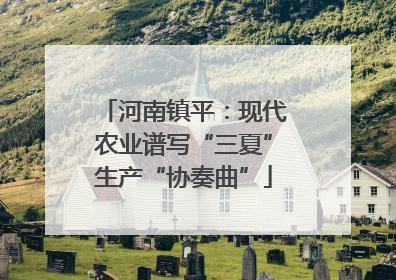 河南镇平：现代农业谱写“三夏”生产“协奏曲”